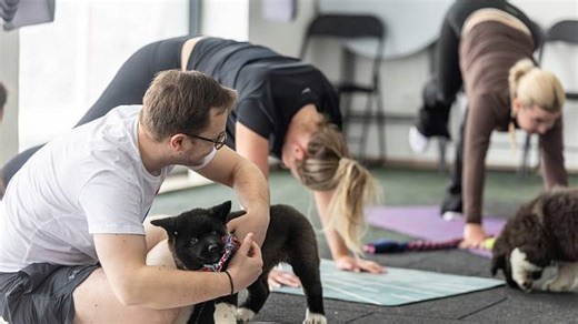 Štěňata, karimatky, pohyb a mazlení. Haf Yogu nově cvičí i ve Frýdku-Místku