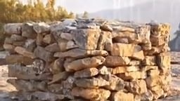 2.1K views · 82 reactions | Historia del Monte Carmelo y el Escapulario de la Virgen del Carmen. | Parroquia Madre de Misericordia | Facebook