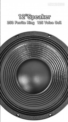 12 inch speaker