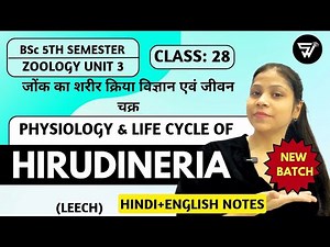 Physiology & Life Cycle of HIRUDINERIA (LEECH)|| Annelida to Arthopoda || BSc 5th Semester ZOOLOGY
