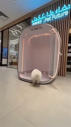 477K views · 16K reactions | This Dubai AI Pet Pod Changes FUR COLOR?! 勞 Edit by Ai  | Mohammad Apu | Facebook