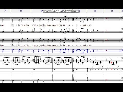 Ave Verum (Karl Jenkins)Bass