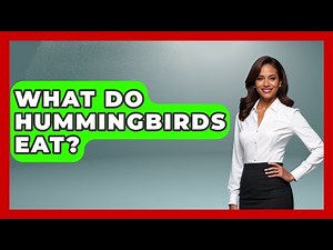 What Do Hummingbirds Eat? - Exploring Campgrounds
