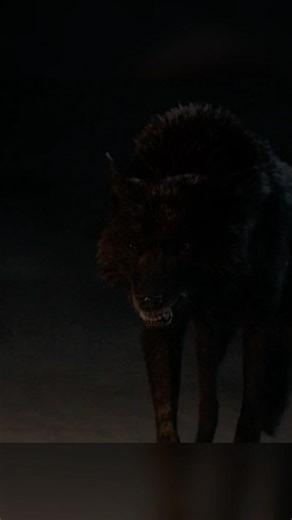 ❄️Falling Through Ice｜Wolf Saves Boy from Frozen Lake｜Alpha (2018) Reunion Scene