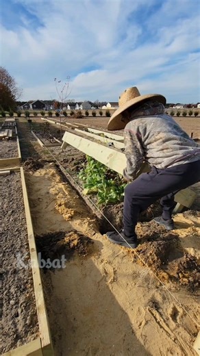 227K views · 895 reactions | Garden tips and ideas - installing more garden bed #GardeningTips #diyprojects #diy #garden | Kabsat | Facebook