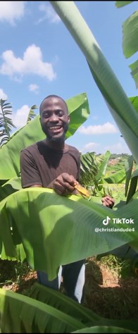 Funny South African Comedy Skits from Johannesburg