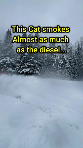 Arctic Cat 500 Rebuild: Time for Maintenance?