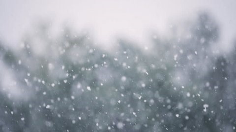 clip-4007941105-snow-falling-slow-motion-winter-storm-moves