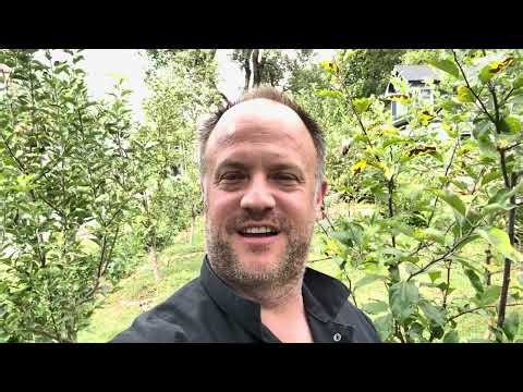Apple Tree Rootstock Harvesting Update! Update of Scions and What I’ve Learned