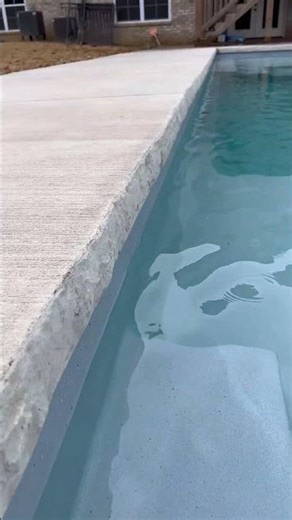 Fiberglass Pool Installation: Backyard to Luxury Oasis