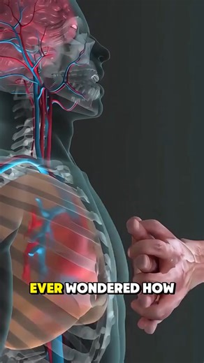 ECMO works as an artificial heart and lungs to keep patients alive during critical moments - 3D Animation. #ECMO #LifeSupport #MedicalFacts #CriticalCare #TikTokDoctor | Health tips