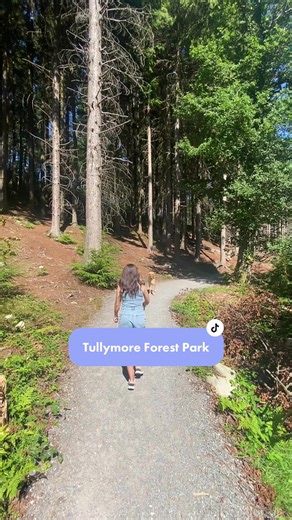 Explore Tullymore Forest in Newcastle, Northern Ireland