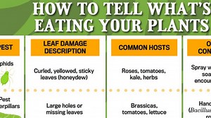 The Old Farmer's Almanac Releases a Garden Pests Guide for Gardeners