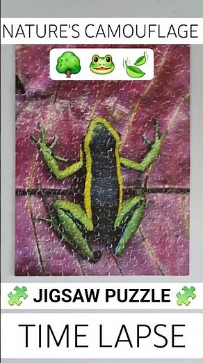 300 Piece Jigsaw Puzzle Time Lapse