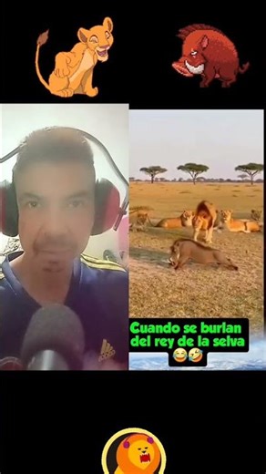 pobre león li las narices le vio jajaja 😂😂🤔😇🙏👿🦁