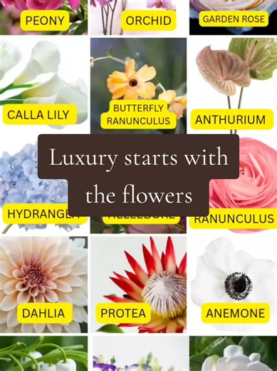 Premium flowers aren’t about trends—they’re about texture, movement, and presence. These are the blooms that elevate a design, photograph effortlessly, and transform a space from beautiful to unforgettable. Yes they cost more, sometimes 10x more than a typical flower, but they elevate the entire design and overall feel. Those beautiful Pinterest weddings you see are loaded with these premium blooms and the price tag that comes with it. So if you have your heart set on some of these beauties, be 