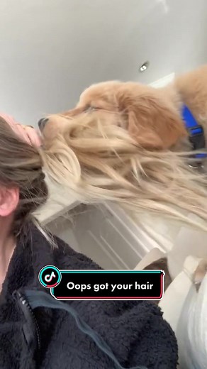 He said “only one blonde allowed in this house and it’s not gonna be you“ 🤣 #d#dogsoftiktokh#haird#dogsbeingfunnyp#puppylove