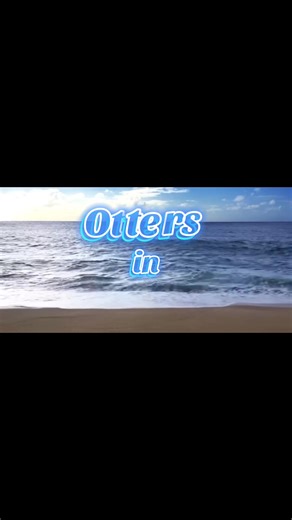 Discover the Playful World of Sea Otters