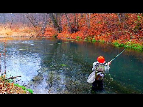 FLY FISHING WITH DRY FLIES | HOW TO FISH A MIDGE HATCH | Late Fall in the Driftless Region | Iowa