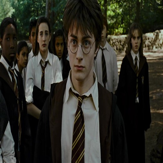 Harry Potter Headcanon: Sirius Black's 'Yeah? Try Me' Vibe