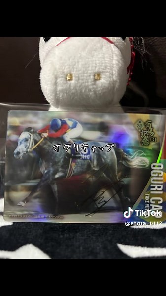 サラブレッドホースコレクションの紹介