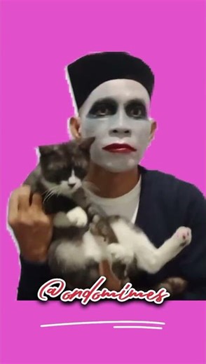 HILARIOUS PANTOMIME CAT VIDEO #mime #pantomime #pantomim #mimes