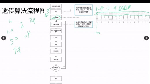基于Matlab的遗传算法求解TSP问题的关键步骤讲解