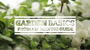 24K views | Wait for a dry day before amending clay soil. | Blue Sky | Facebook