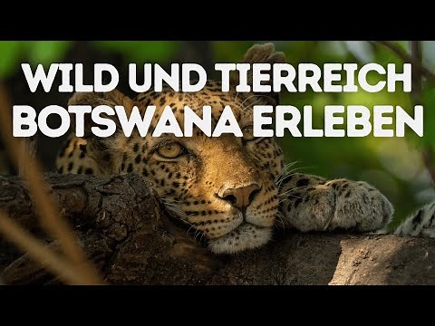 Self-drive tour through Namibia and Botswana - The wild part of Botswana - African Dreamtravel