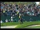Chip-In at the 17th hole - Tiger Woods (US Open)