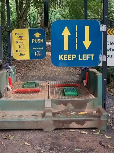 ✅ Scrub ✅ Scrape ✅ Spray Help keep Queensland's national parks free of plant pathogens, like phytophthora, which can cause disease and death in susceptible plants and loss of habitat, by using boot washing stations. This ensures any soil or debris is removed from your boots before and after you hike, reducing the spread of pathogens. 🥾 Whether you're a frequent or once-in-a-blue-moon kind of hiker, our native flora appreciates you! 🌲 📹 H. Lindeman © Queensland Government | Queensland National
