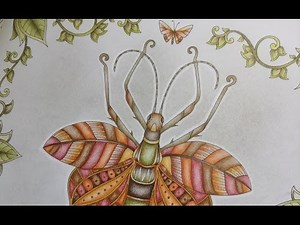 MAGICAL JUNGLE - part 2 - prismacolor pencils