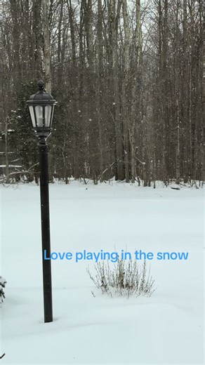 Enjoying a Snow Day with My Shih Poo