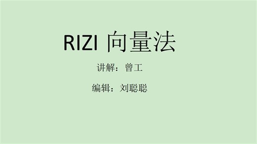 RITZ向量法的正确运用