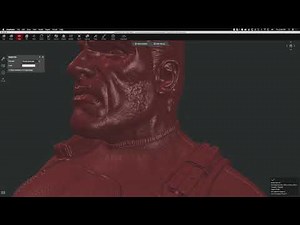 Ideamaker: Project Files