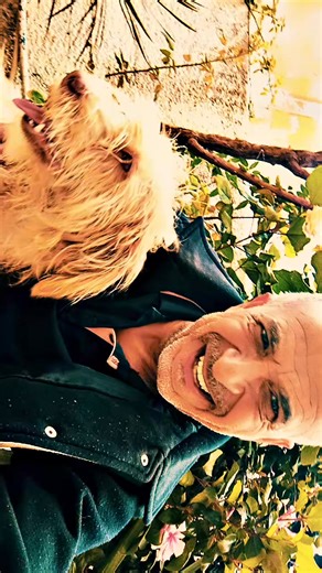 Mehdi Cherni on Reels