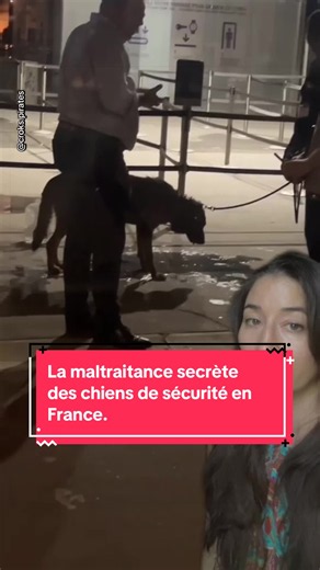 La maltraitance secrète des chiens de sécurité en France. . Go signer la pétition de @asso_futur dans ma bio pour plus de cadre et de protection pour eux ! Et go les suivre pour les soutenir ! . #chien #securite #animaux #chat #cheval .