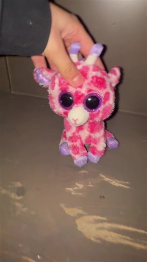 #foryoupage #fyp #beanieboos #phoenixthebeaniebooart🤭 #beanieboosquad💗🧁