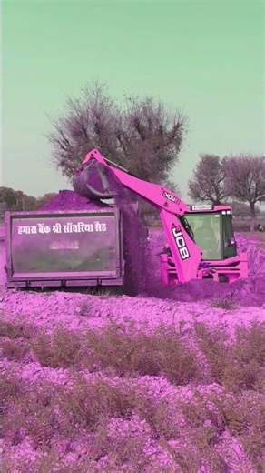 JCB loader ka reality show work #excavator #shortfeed #jcb3dx #jcb #ytshorts #viral #video