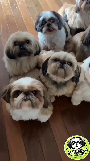 Awwww how cute 😍 | Marylou Fraley