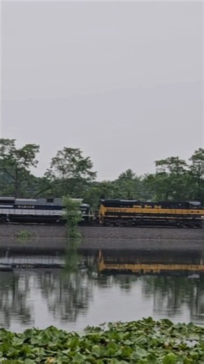 NKP & Wabash on NS Office Car Special!