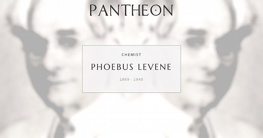 Phoebus Levene Biography | Pantheon