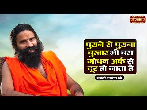 पुराने से पुराना बुखार भी बस गोधन अर्क से दूर हो जाता है | Swami Ramdev | Yoga & Ayurveda~Sanskar TV