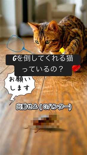30秒の癖になる曲に合わせた猫動画（ポンコツGハンター） #cat #オリジナル曲 #猫あるある