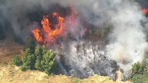 Epping Forest blaze under control