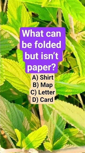What can be folded but isn’t paper?