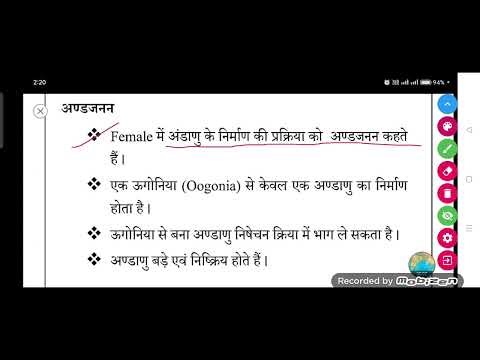 What is oogenesis? || Biology