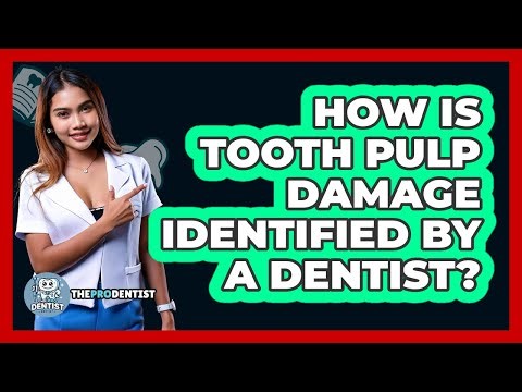 How Is Tooth Pulp Damage Identified By A Dentist?