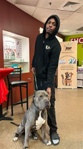 After being lost since August, King Kong is finally back where he belongs, home with his loving family. 💛 Today was filled with tail wags, happy tears, and the kind of joy that reminds us why we do this work. His owner saw his post about being up for adoption and came to identify him immediately! Now he's neutered, microchipped,vaccinated and back home with his family. ❤️ At Charleston Animal Society, we’re proud to help make moments like this possible and turn long waits into the happiest endi