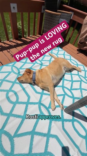 Trying out new outdoor rug